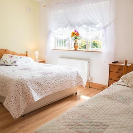 Shannon Breeze B&B Killaloe Zewnętrze zdjęcie