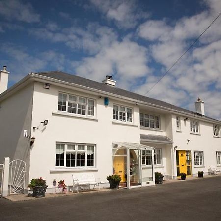 Shannon Breeze B&B Killaloe Zewnętrze zdjęcie