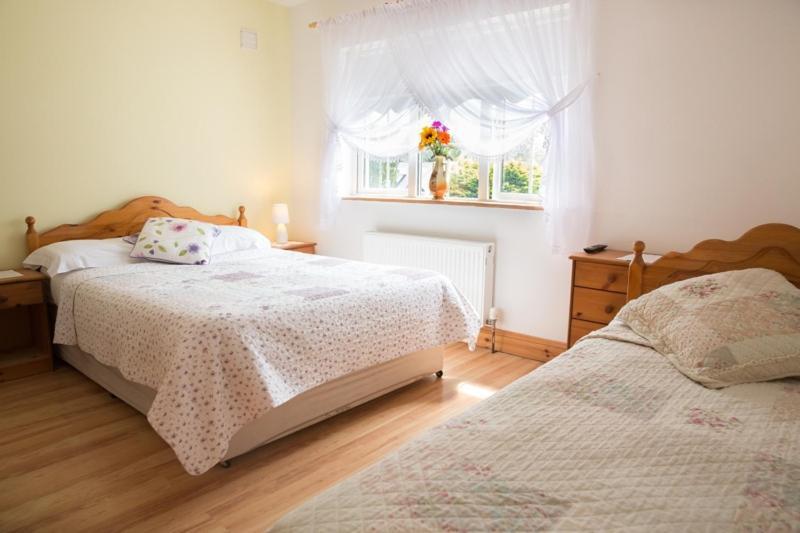 Shannon Breeze B&B Killaloe Zewnętrze zdjęcie