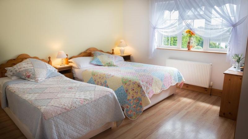 Shannon Breeze B&B Killaloe Zewnętrze zdjęcie