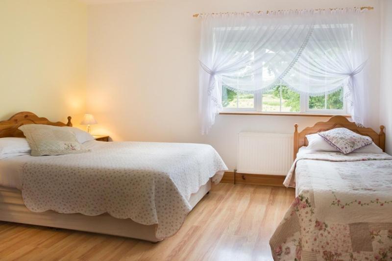 Shannon Breeze B&B Killaloe Zewnętrze zdjęcie