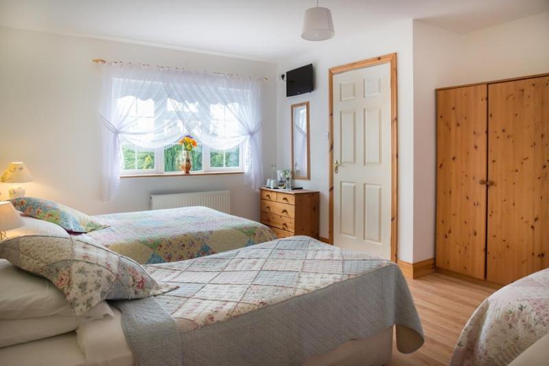 Shannon Breeze B&B Killaloe Zewnętrze zdjęcie