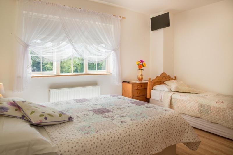 Shannon Breeze B&B Killaloe Zewnętrze zdjęcie